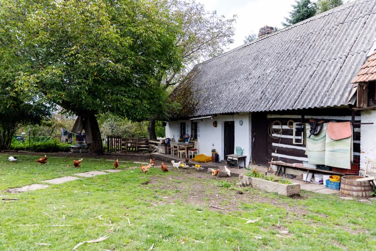 Historická dřevěná stavba s farmou, pozemky 13.269 m2 a soukromím-5