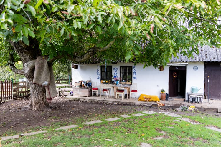 Dům a Farma v Nouzově-Litiči - Pozemky 13.269 m2, z toho 3288 m2 stavební-3